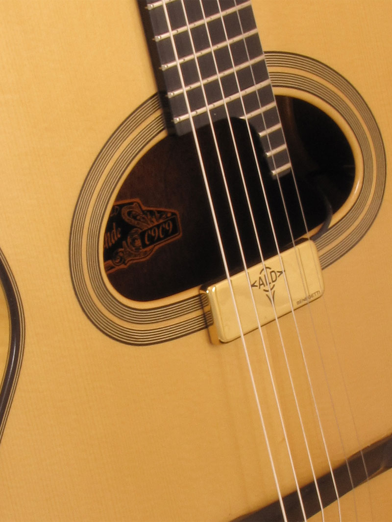 Guitare D-Hole