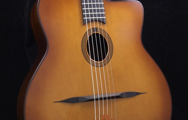 corps guitare noyer